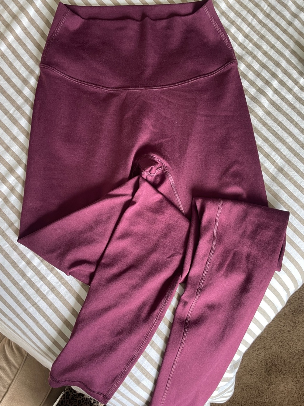 PARAGON Reluna original high-rise sculptseam plus legging in fig